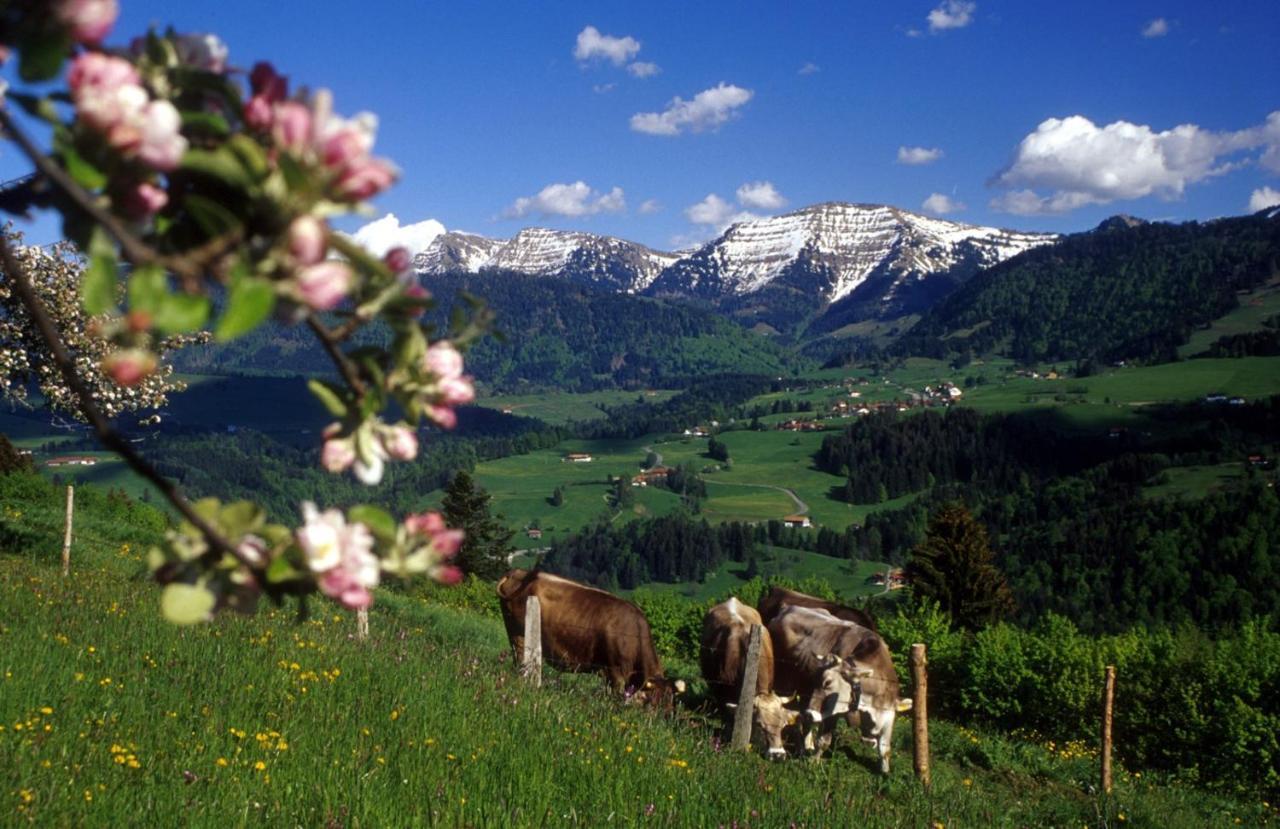 Fewo "Staufen Lodge" Oberstaufen Bagian luar foto